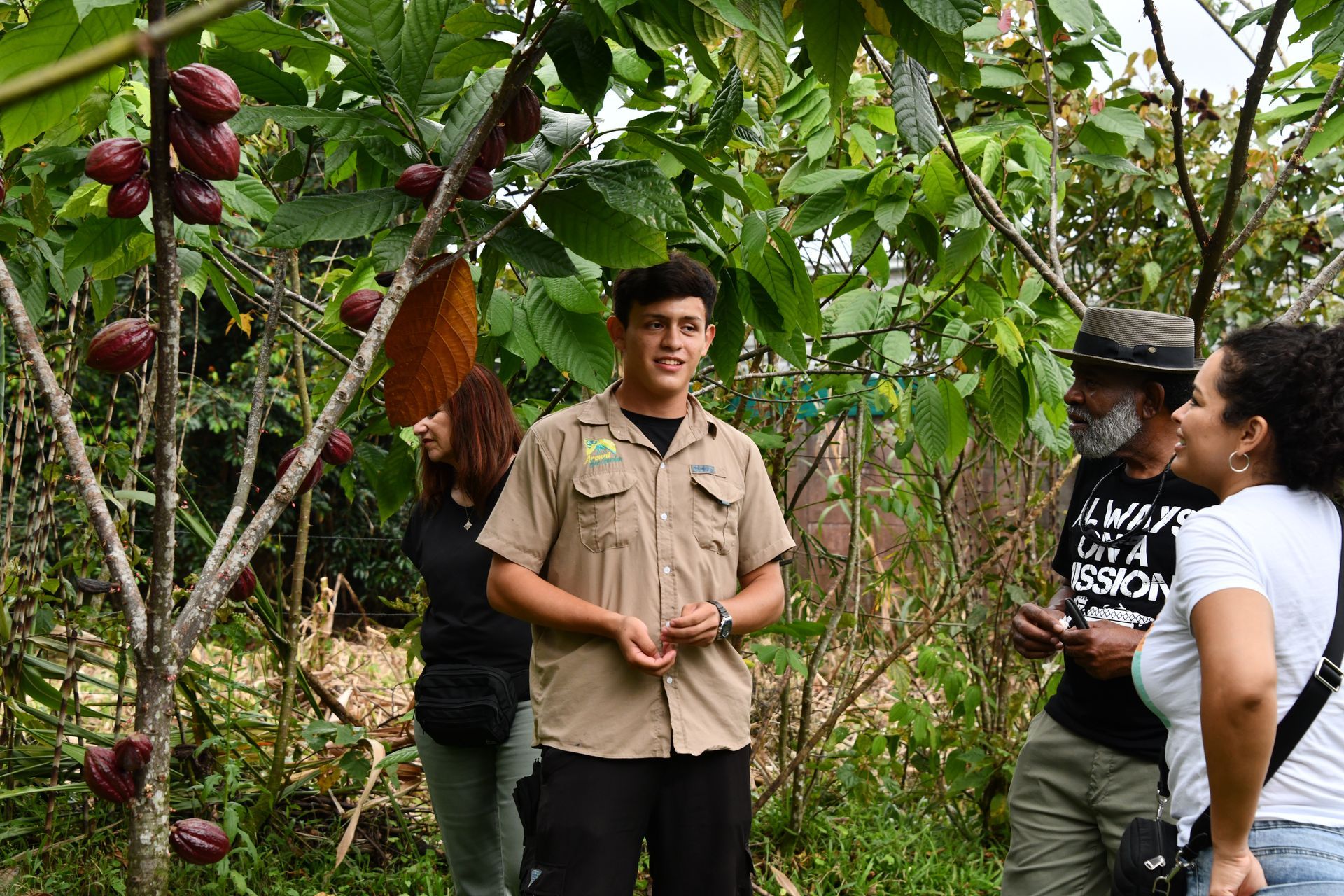 tour de plantas medicinales en la fortuna