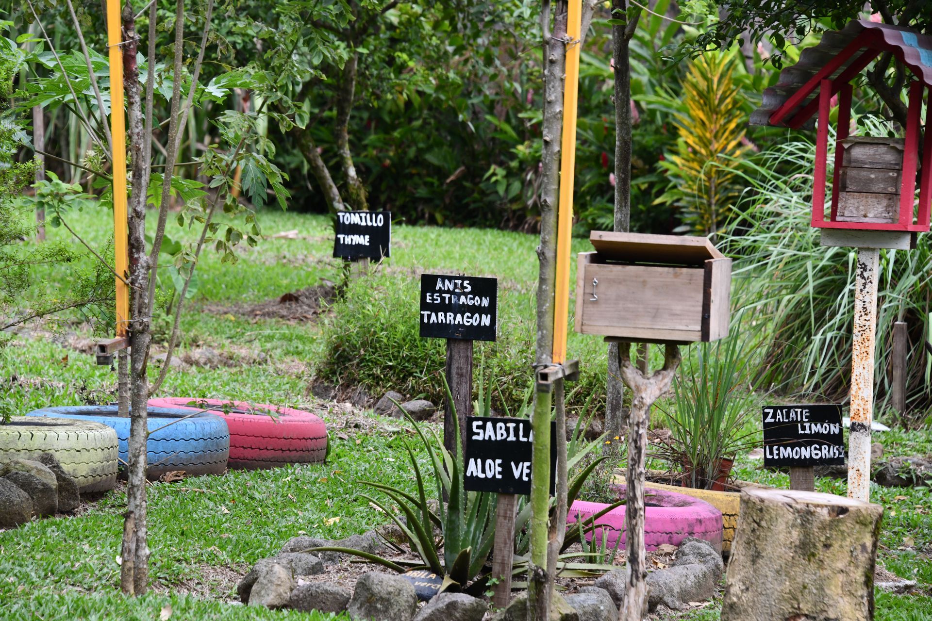 plantas medicinales de costa rica