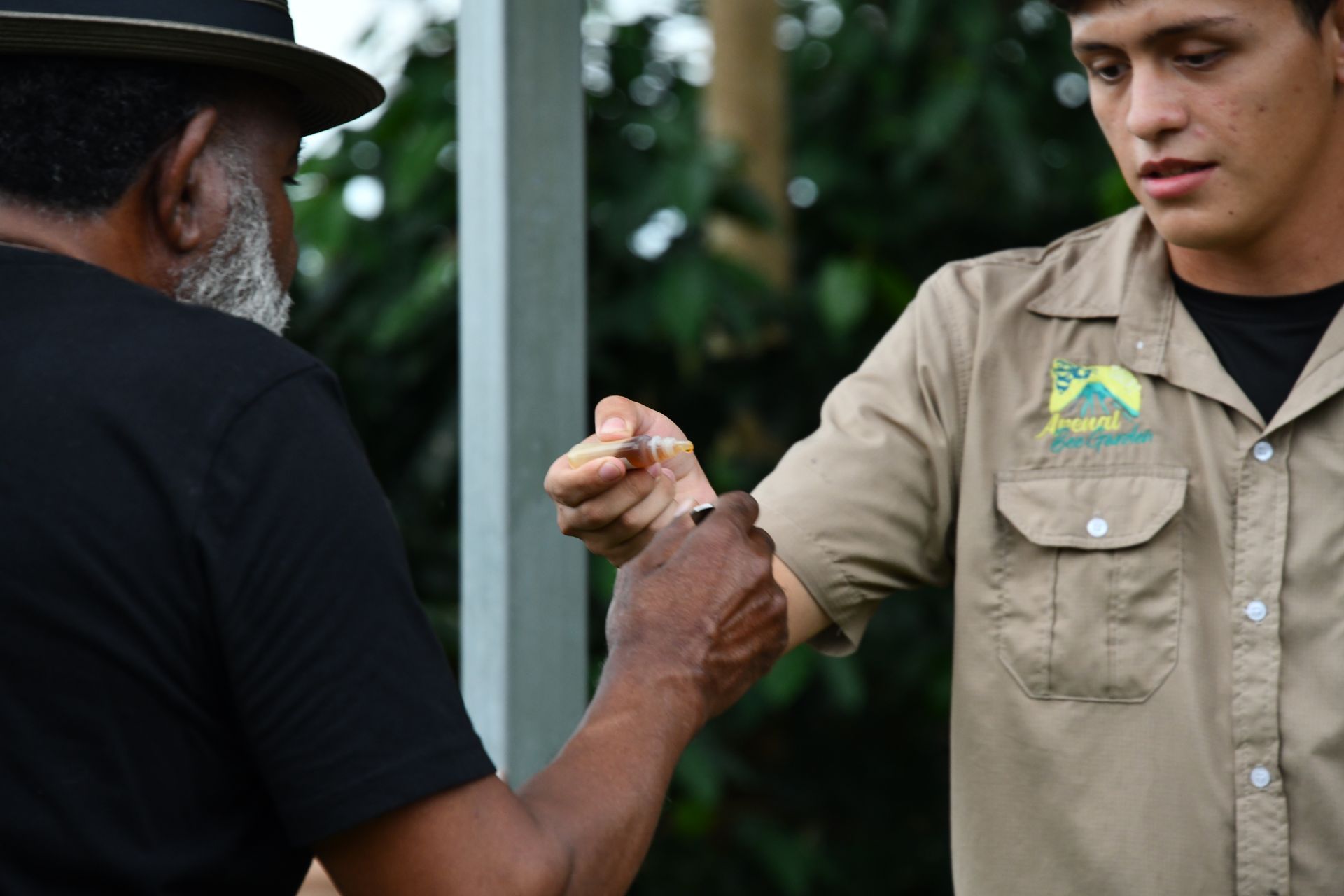 arenal bee garden in la fortuna