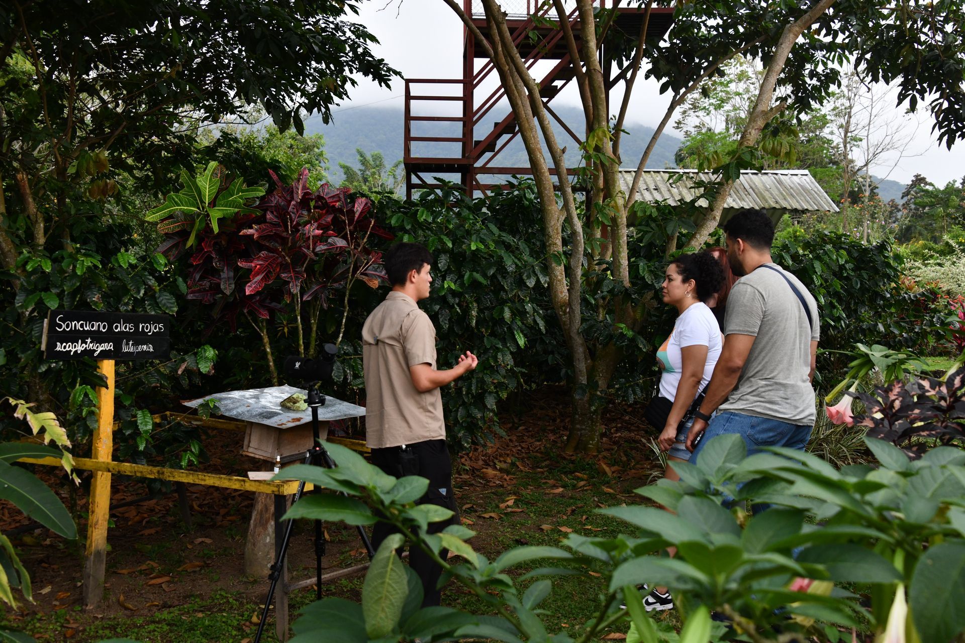 honey, chocolate and coffee tour