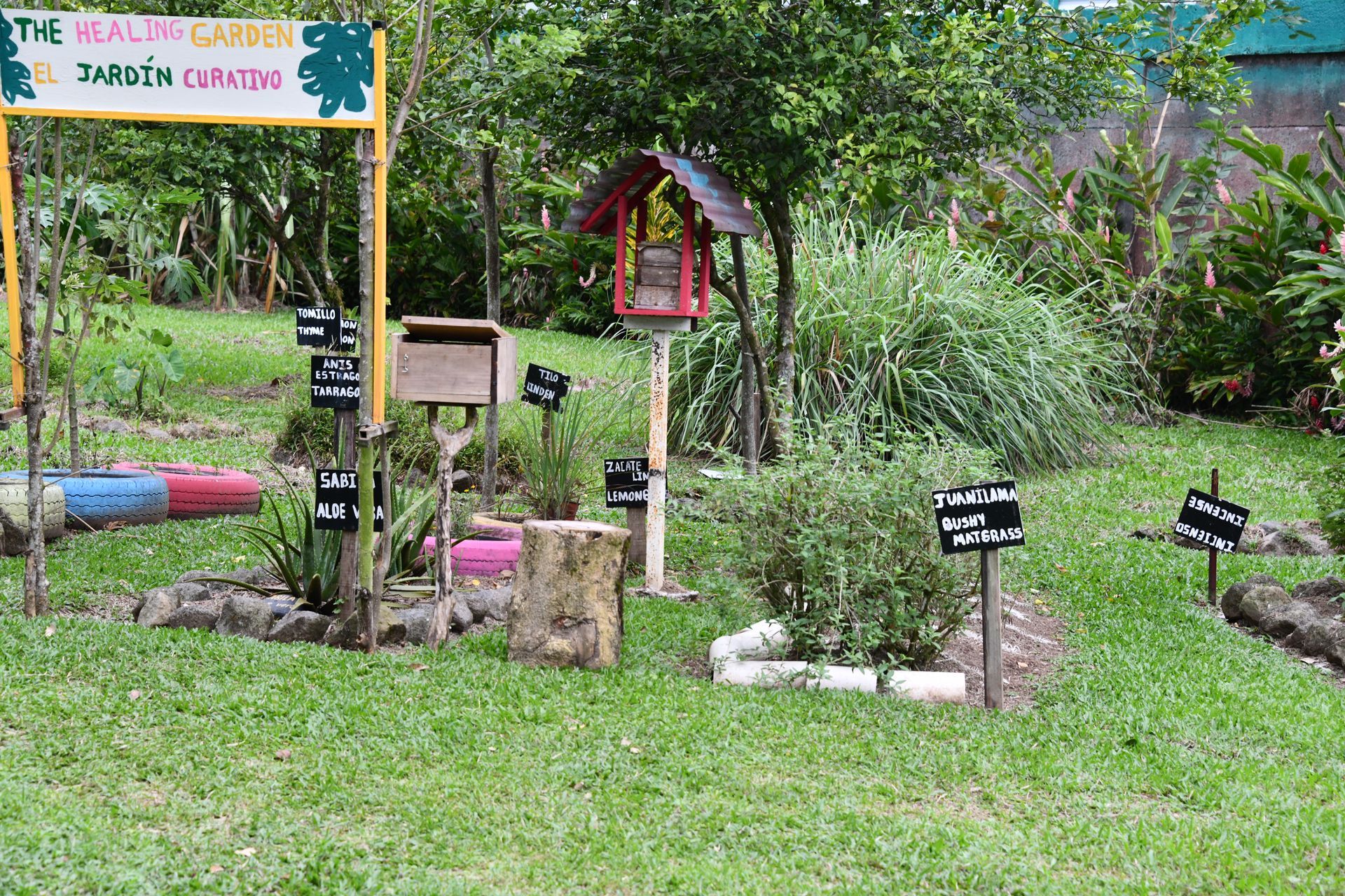 arenal bee garden, chocolate honey and coffee tour