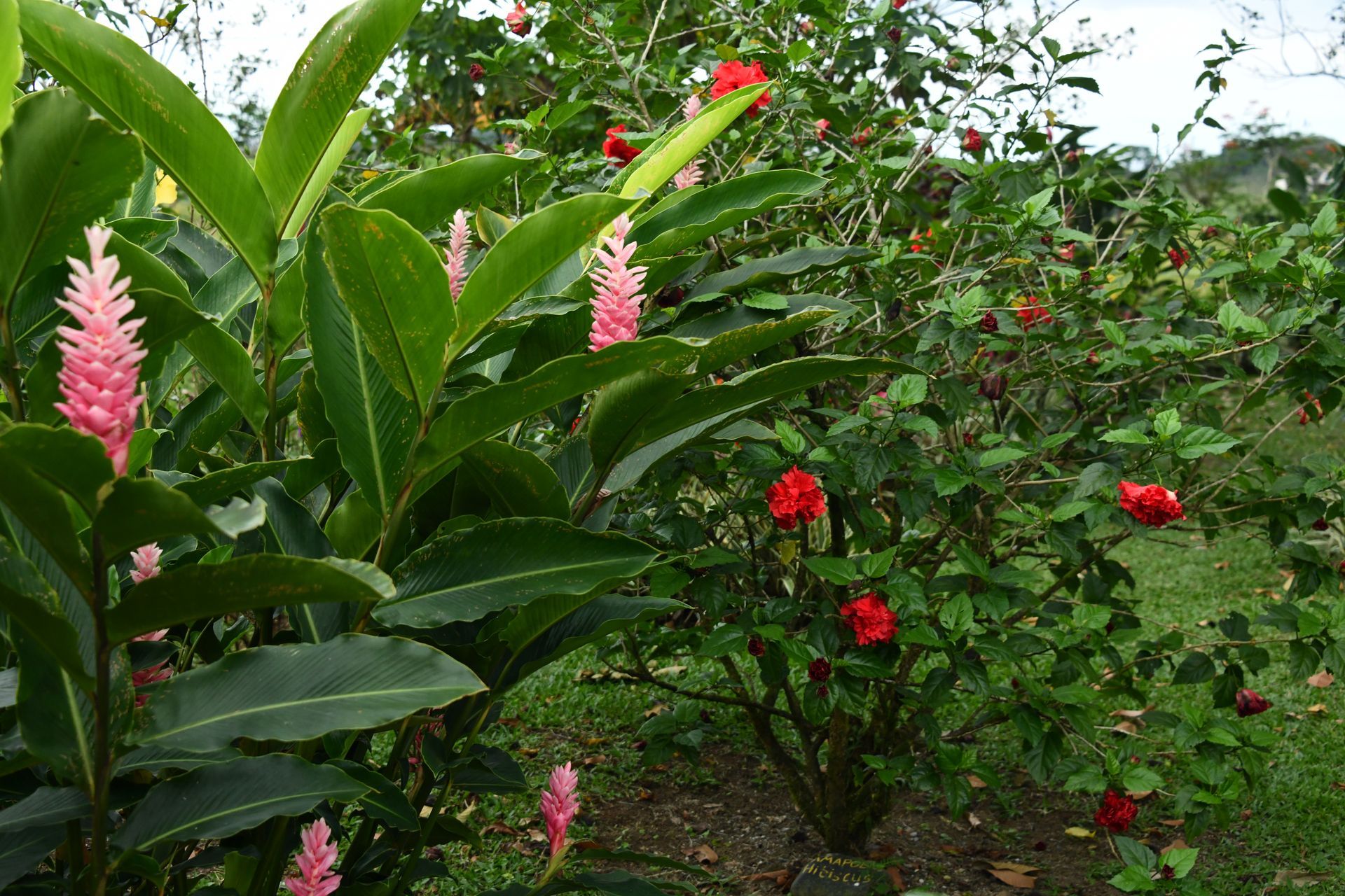 the best places for photography