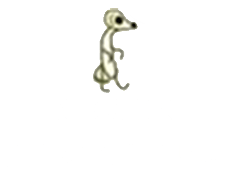 K-pack| שקיות שנסגרות