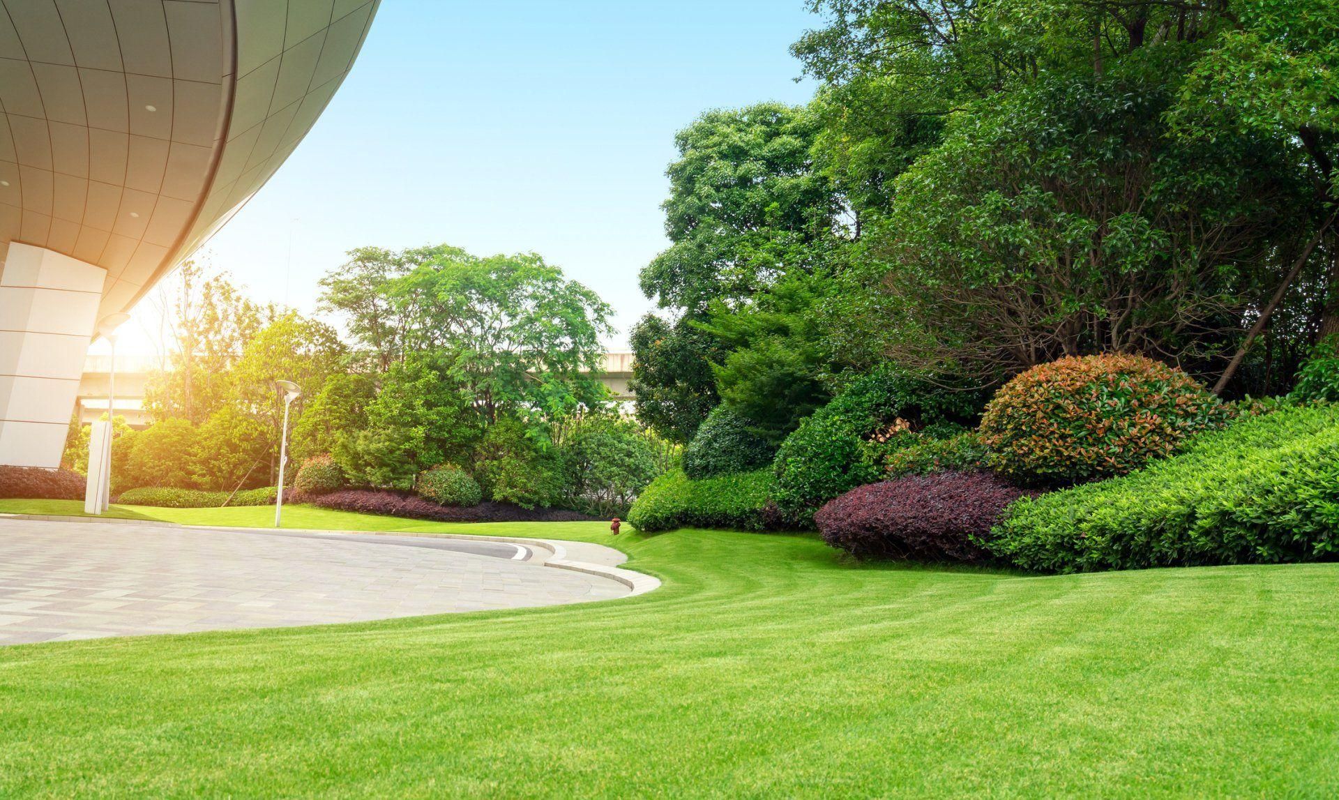 A manicured green lawn in a park with landscaped bushes and trees under a clear sky with soft sunlight.