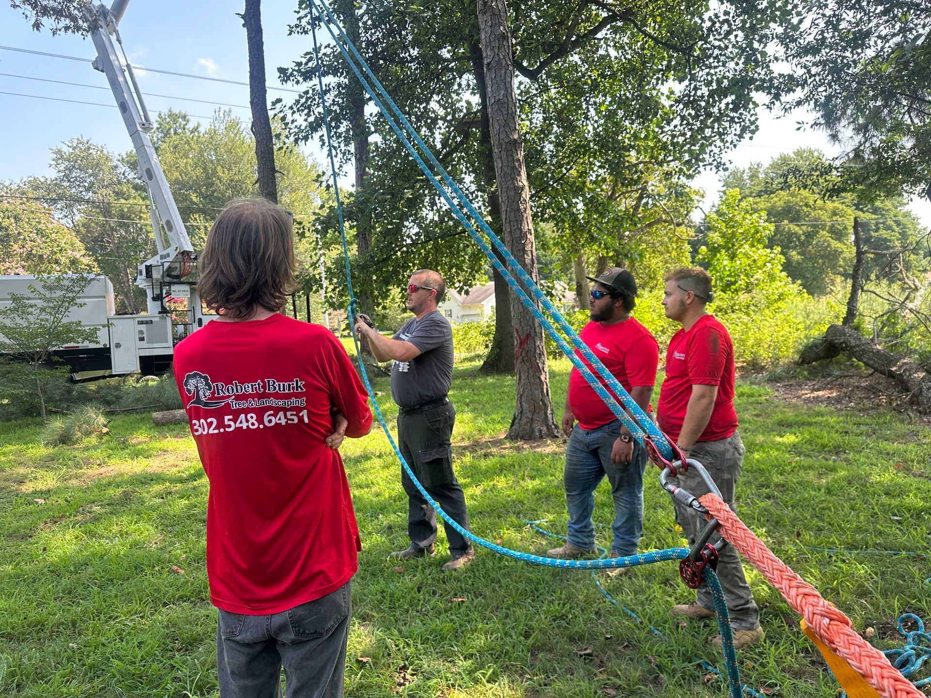 Tree removal crew participating in safety training in Kent County Delaware