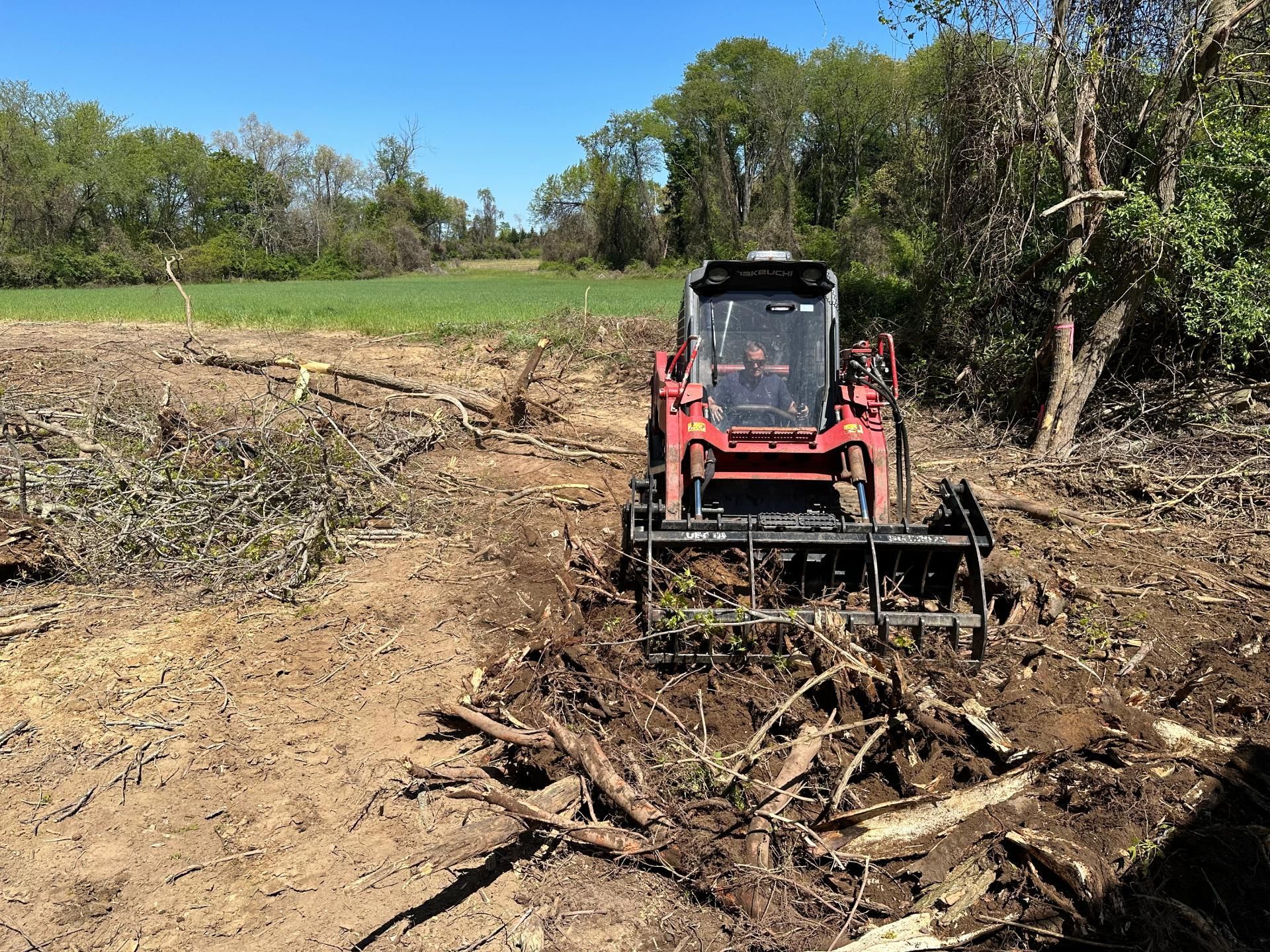 Professional tree removal removing damaged tree in Dover Delaware