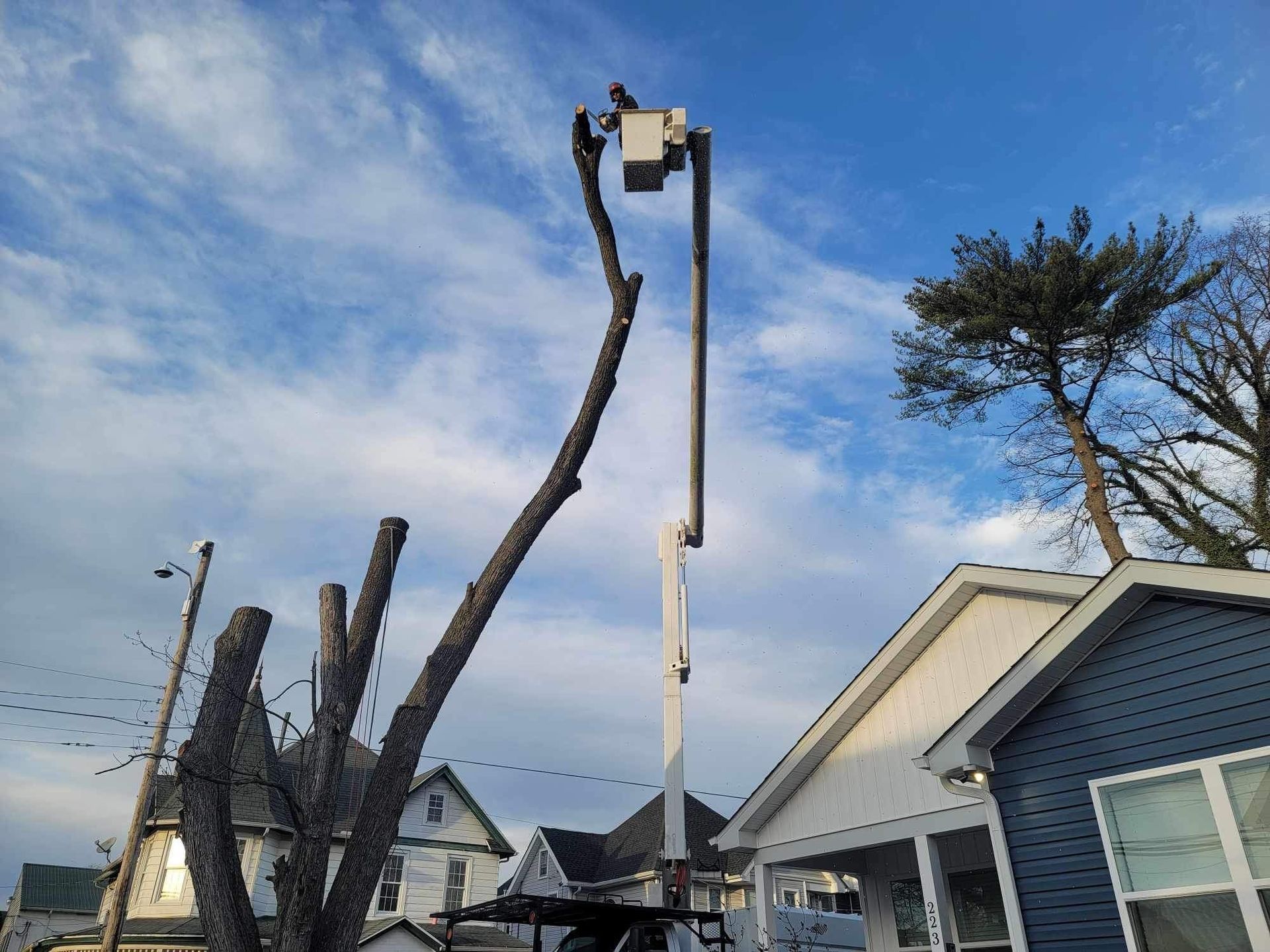 Emergency tree removal removing storm damaged limbs with cherry picker in Dover Delaware