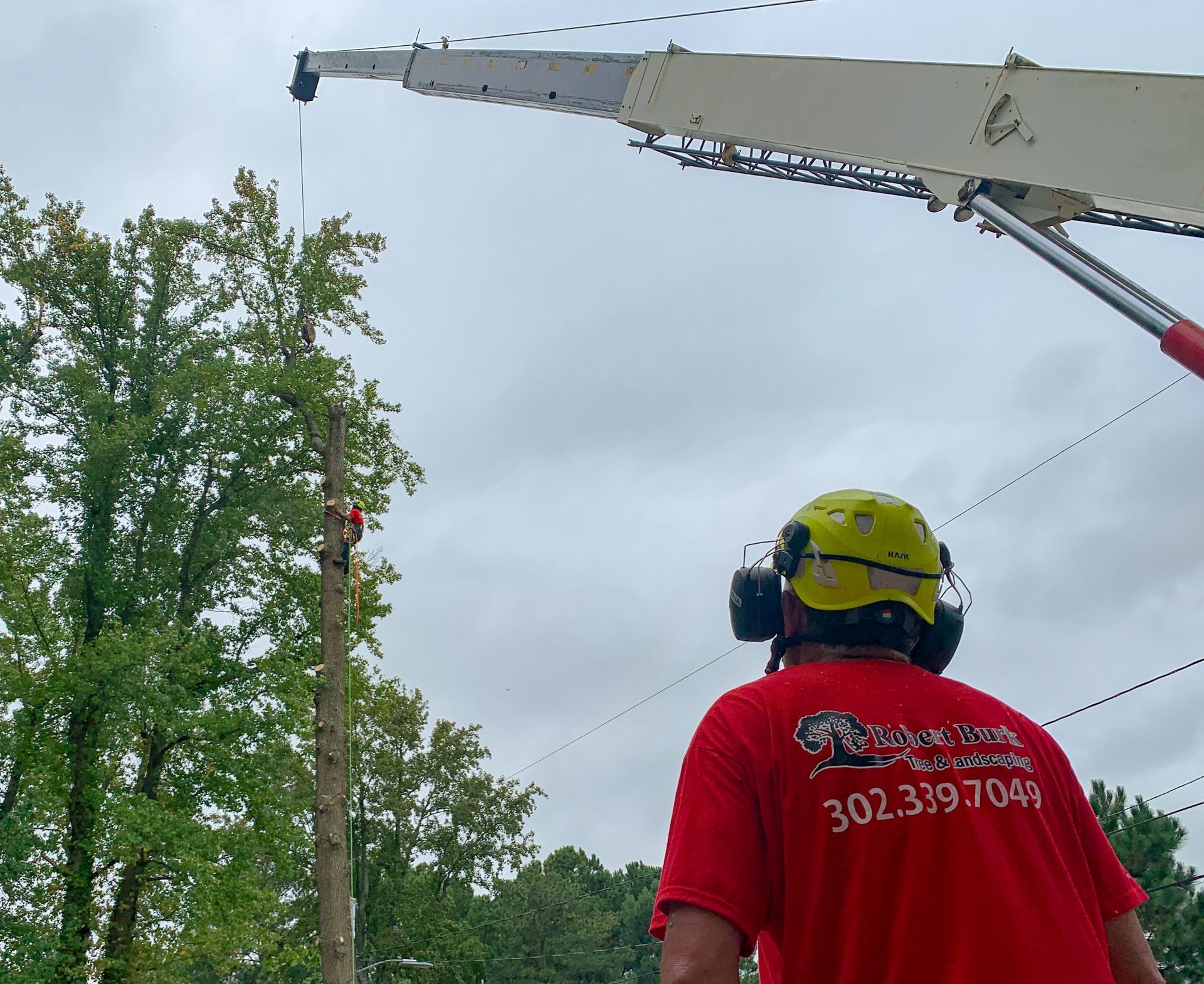 Emergency tree removal with arborist in cherry picker after storm in Milford Delaware
