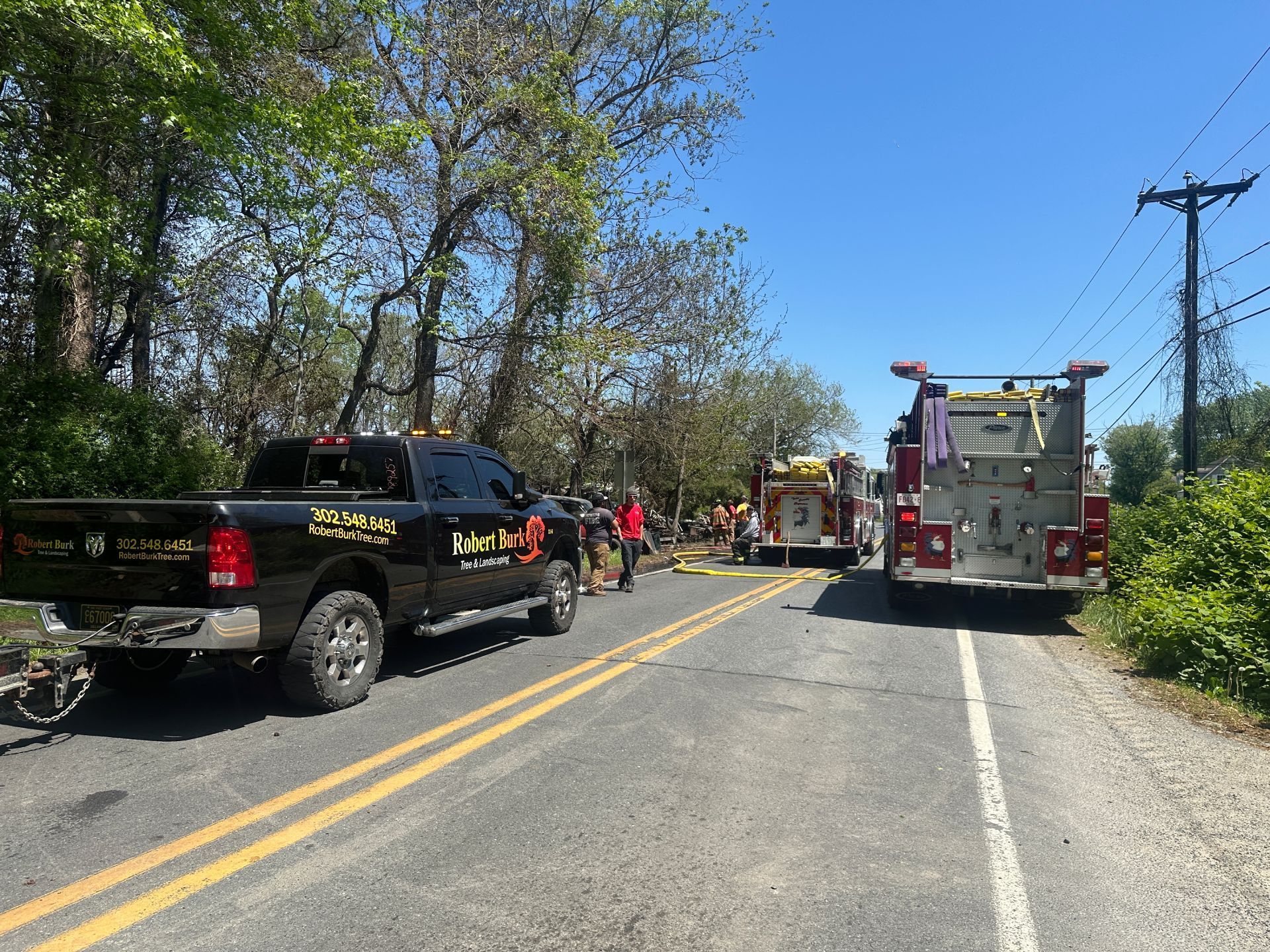 Emergency tree removal for hazardous tree near structure in Sussex County Delaware