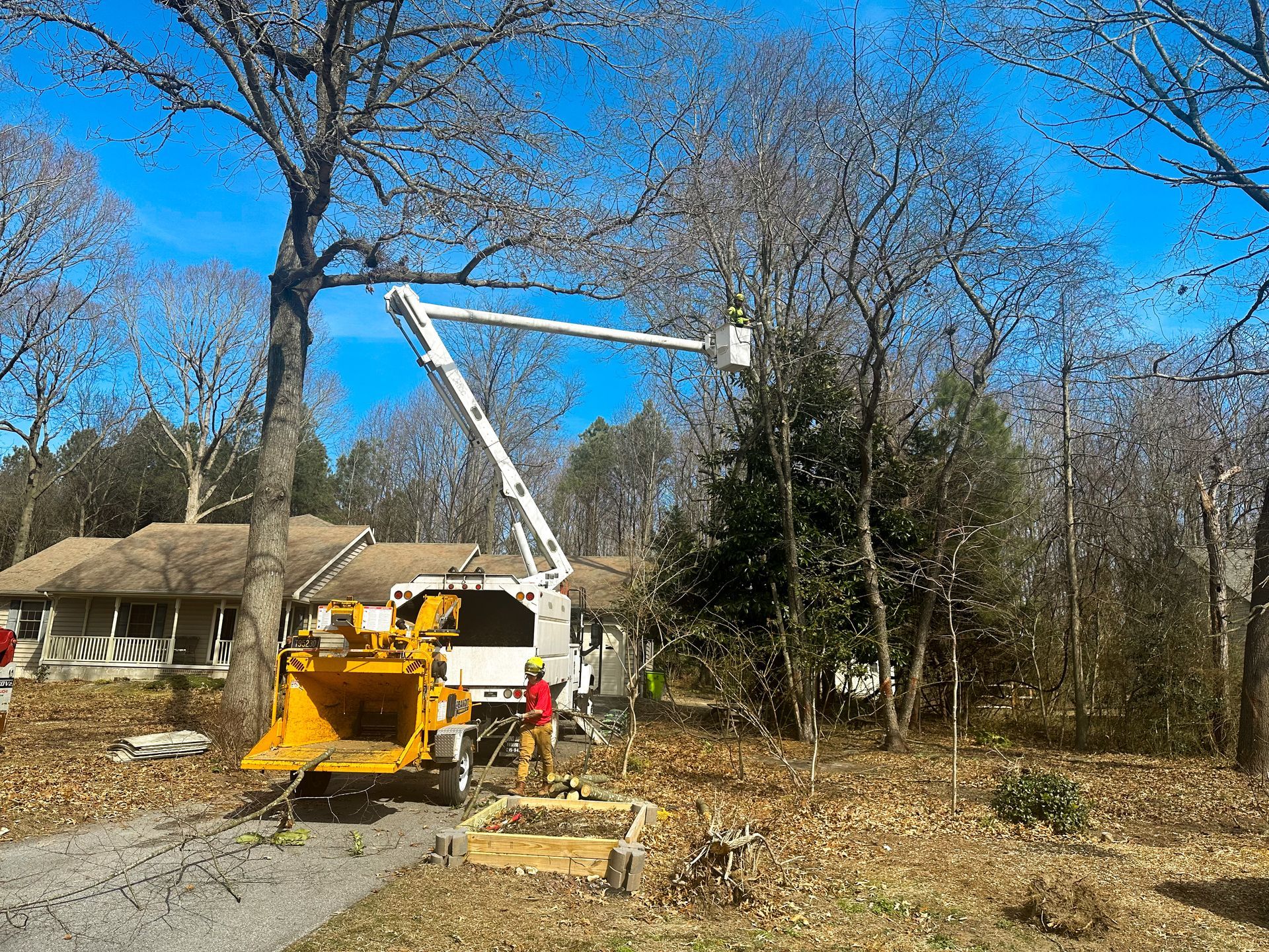 Residential tree removal improving property safety in Sussex County Delaware