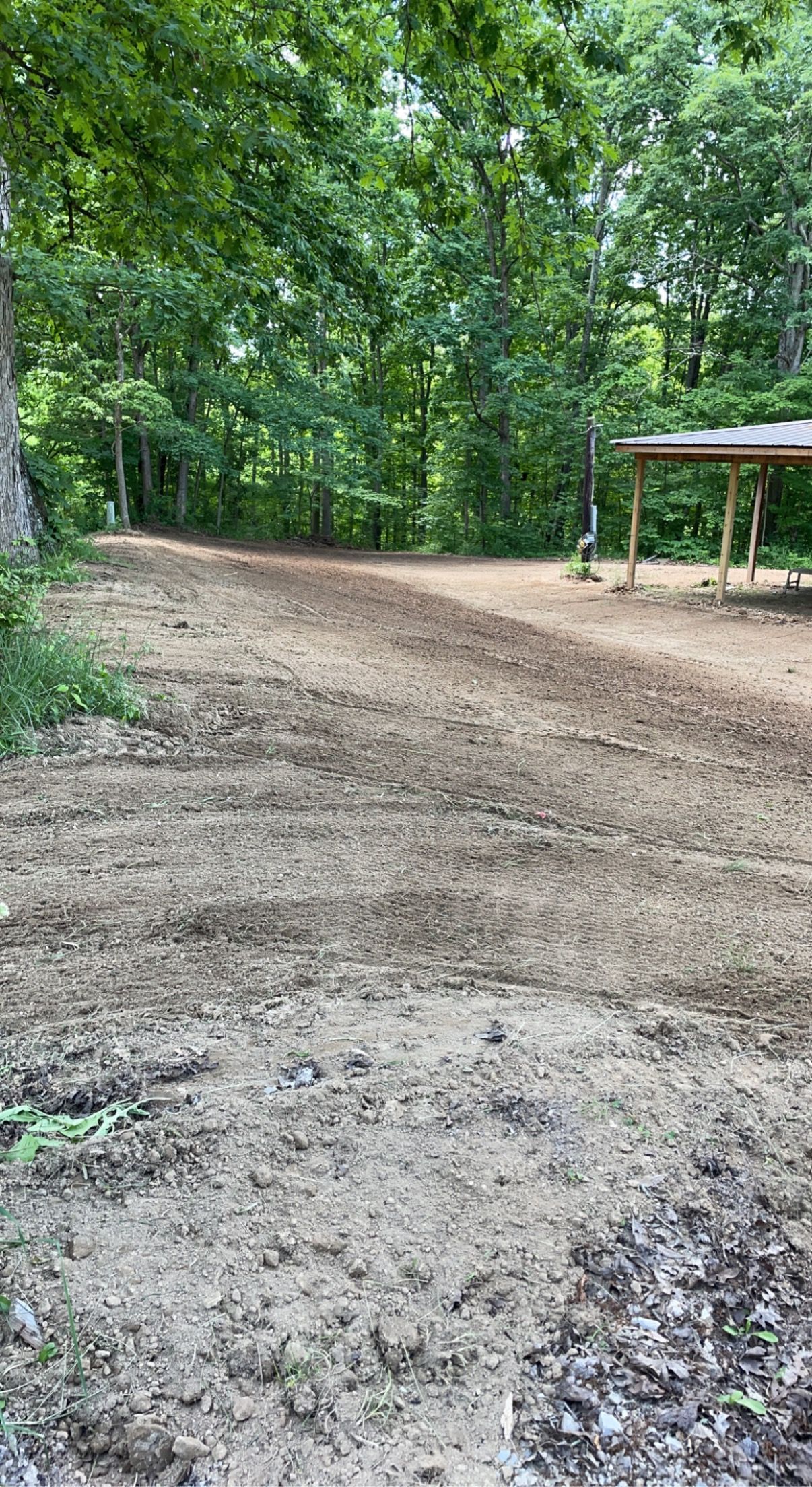 A dirt road in the middle of a forest with trees in the background.