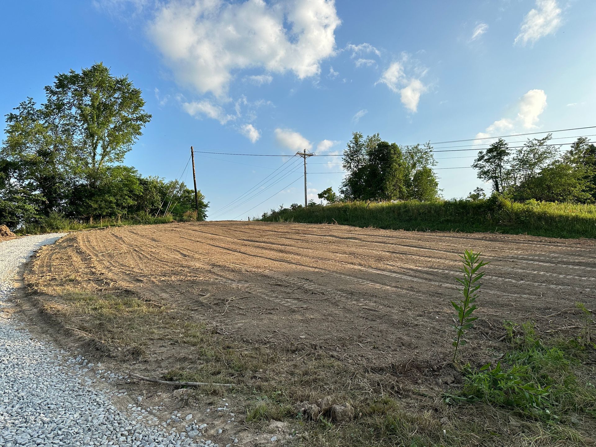 A dirt road going through a field with trees in the background