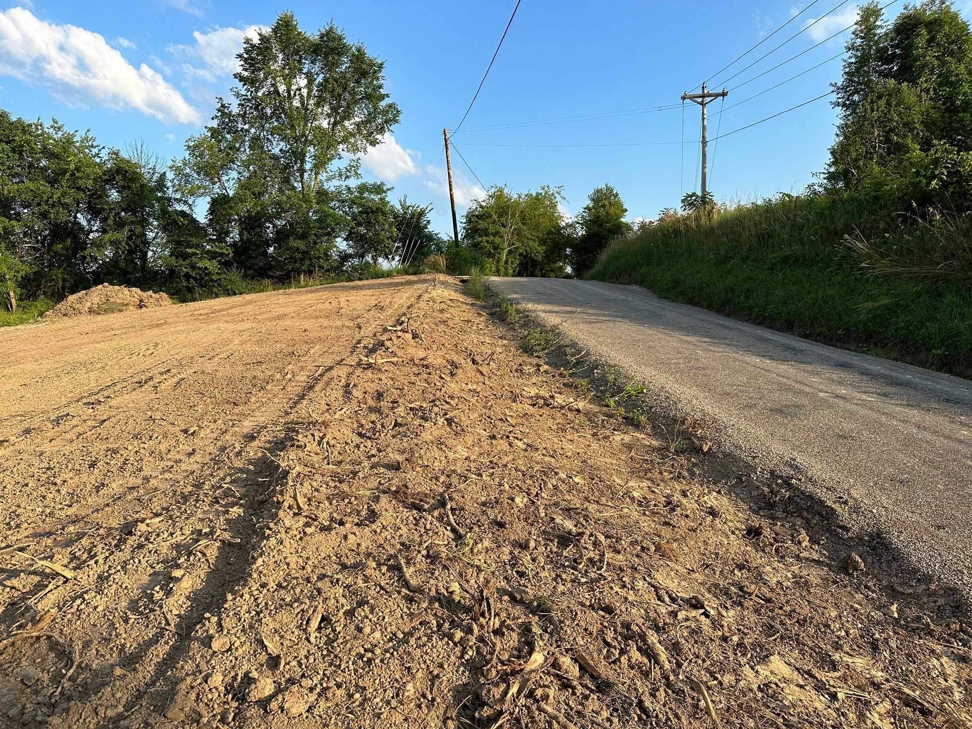 A dirt road going through a field with trees on the side.