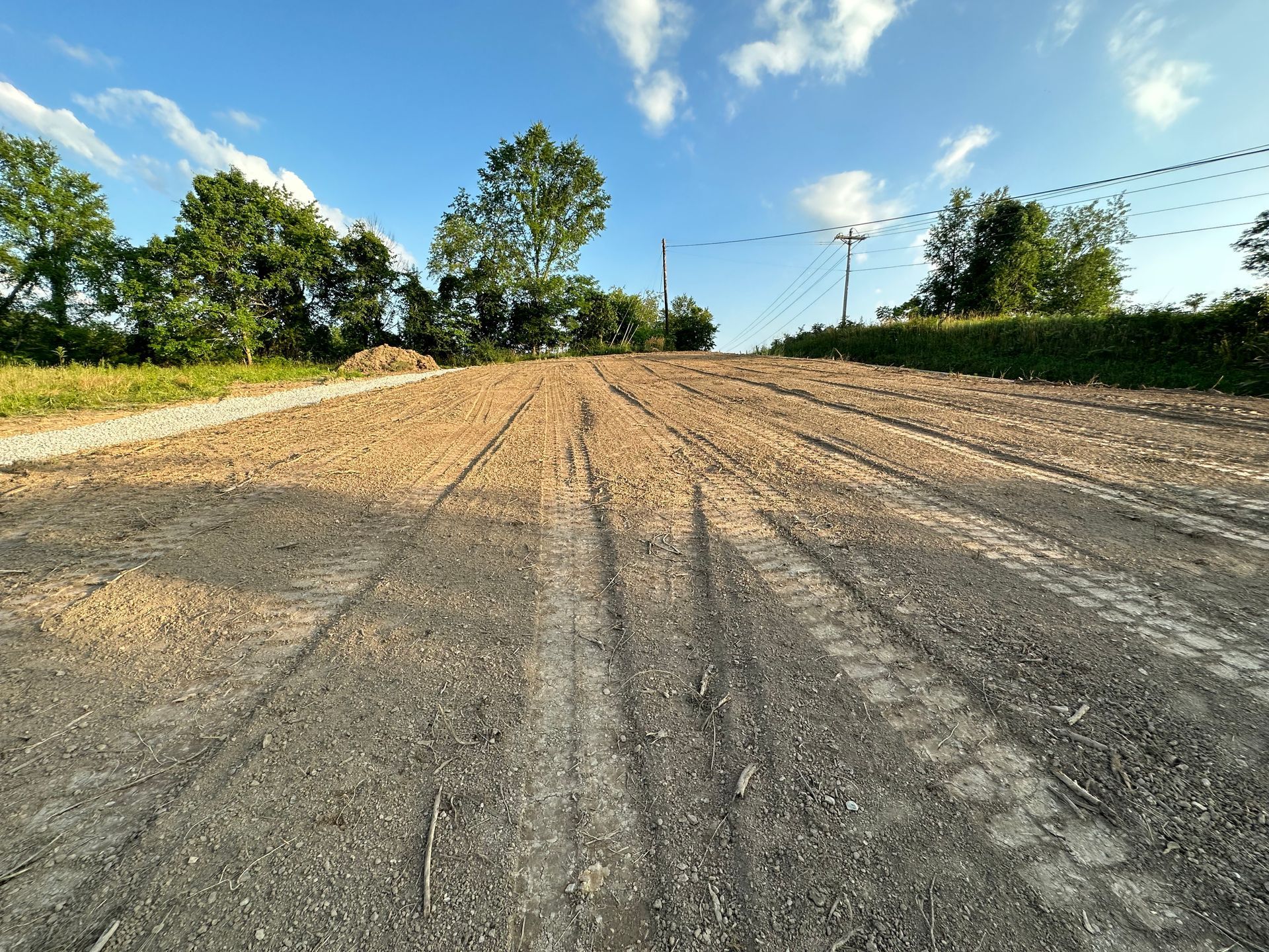 A dirt road with a few trees in the background