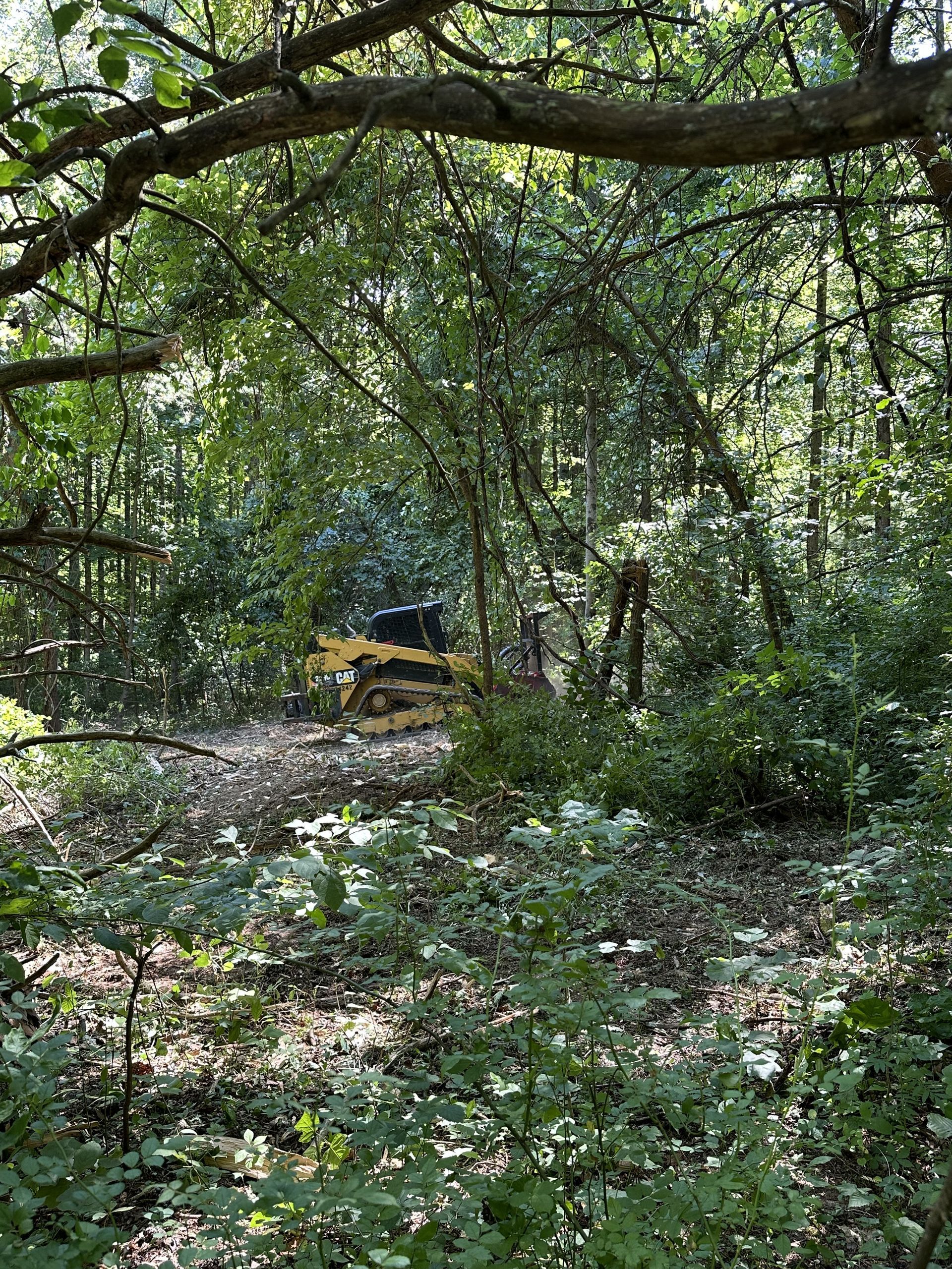 A bulldozer is driving through a lush green forest.