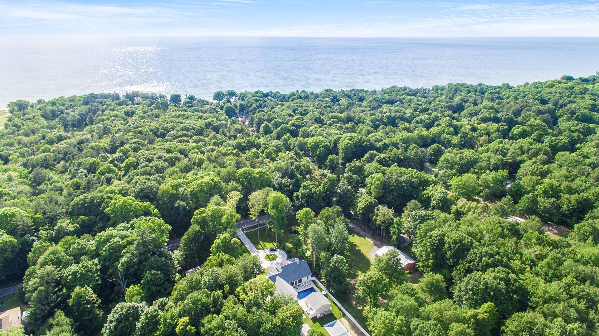 An aerial view of a lush green forest next to a body of water.