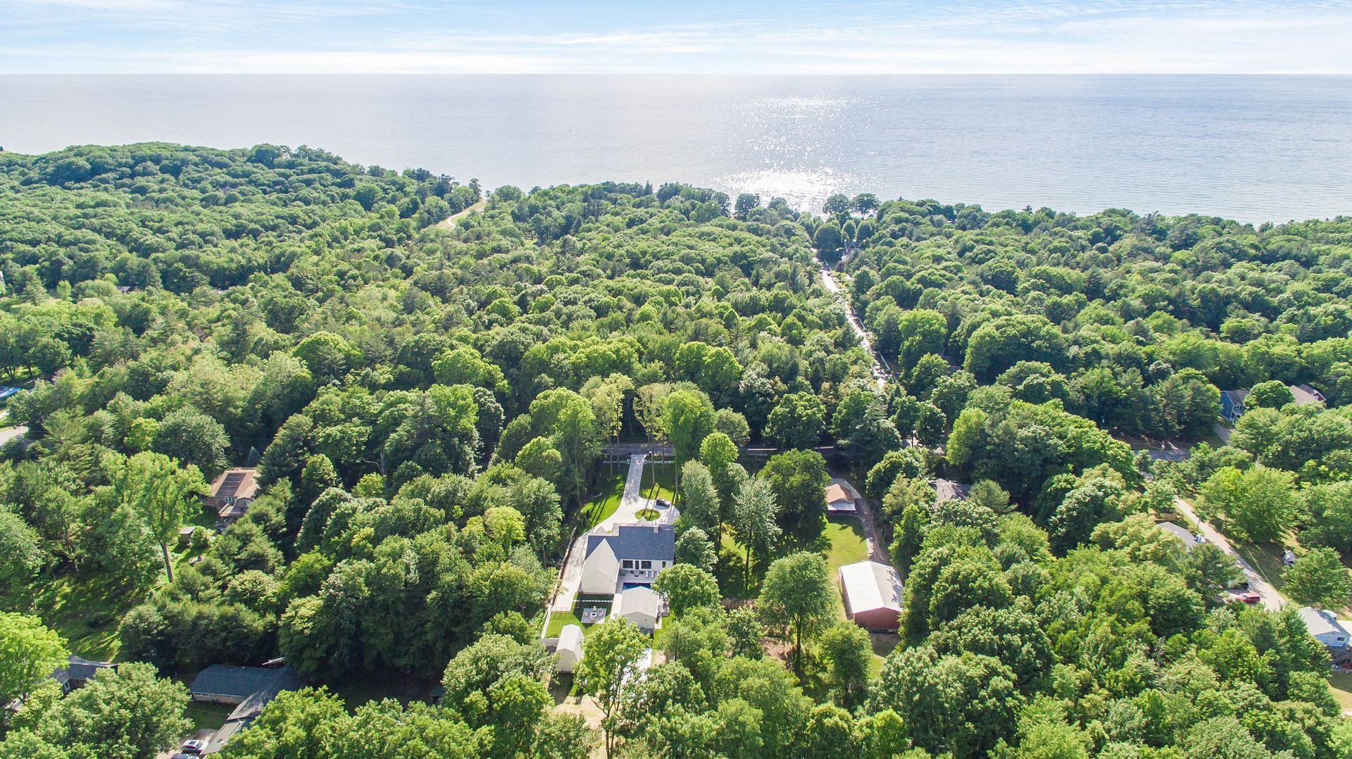 An aerial view of a lush green forest next to a body of water.