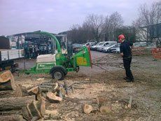 Tree surgeon with chipper machine
