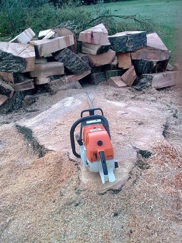 equipment next to pile of logs