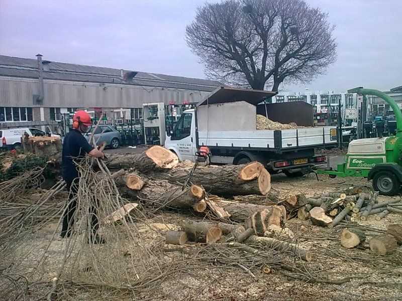 Tree surgeon with van and pile of chopped tree trunks