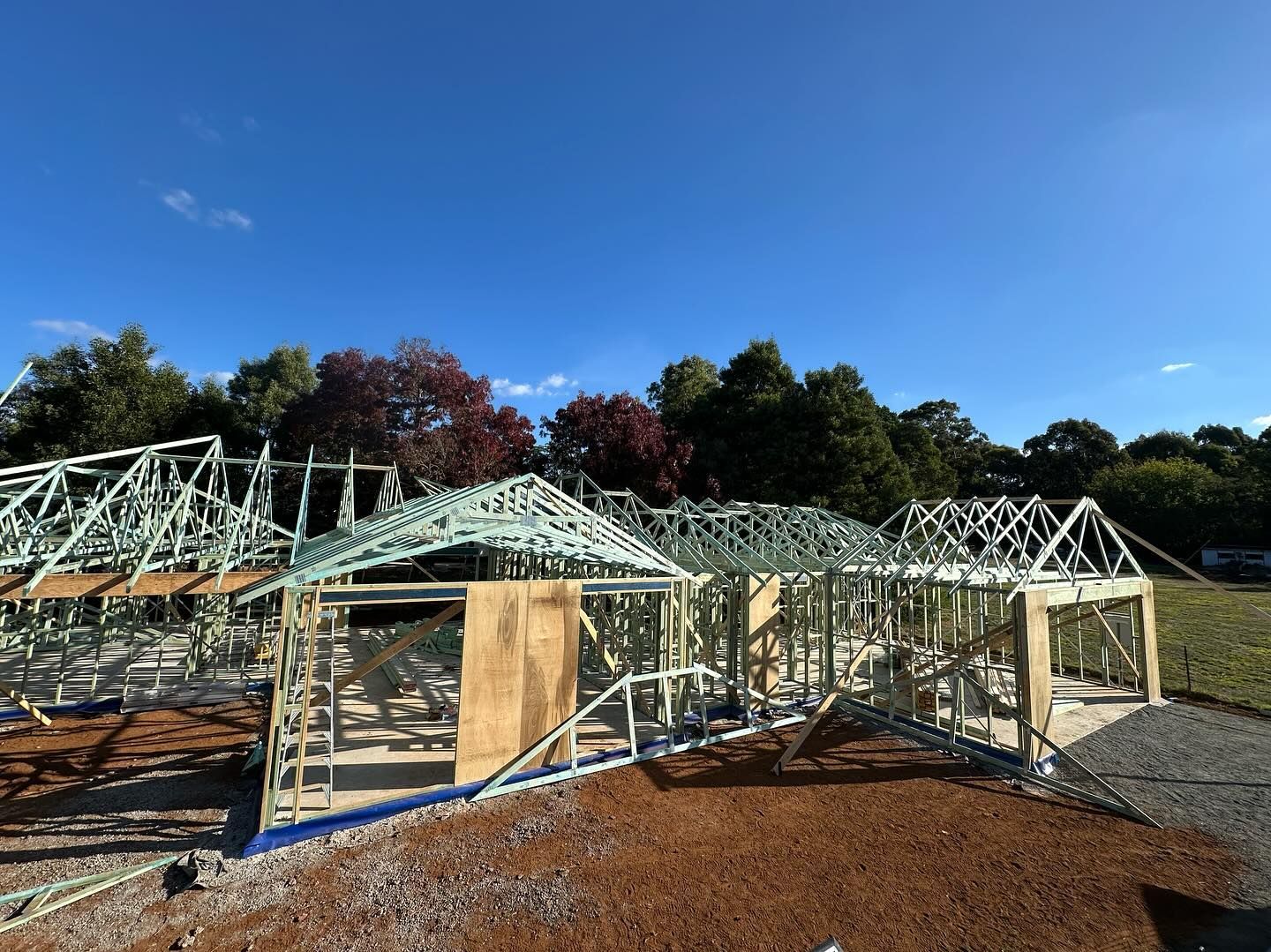 Stone veneer retaining wall with green shrubs, next to asphalt.