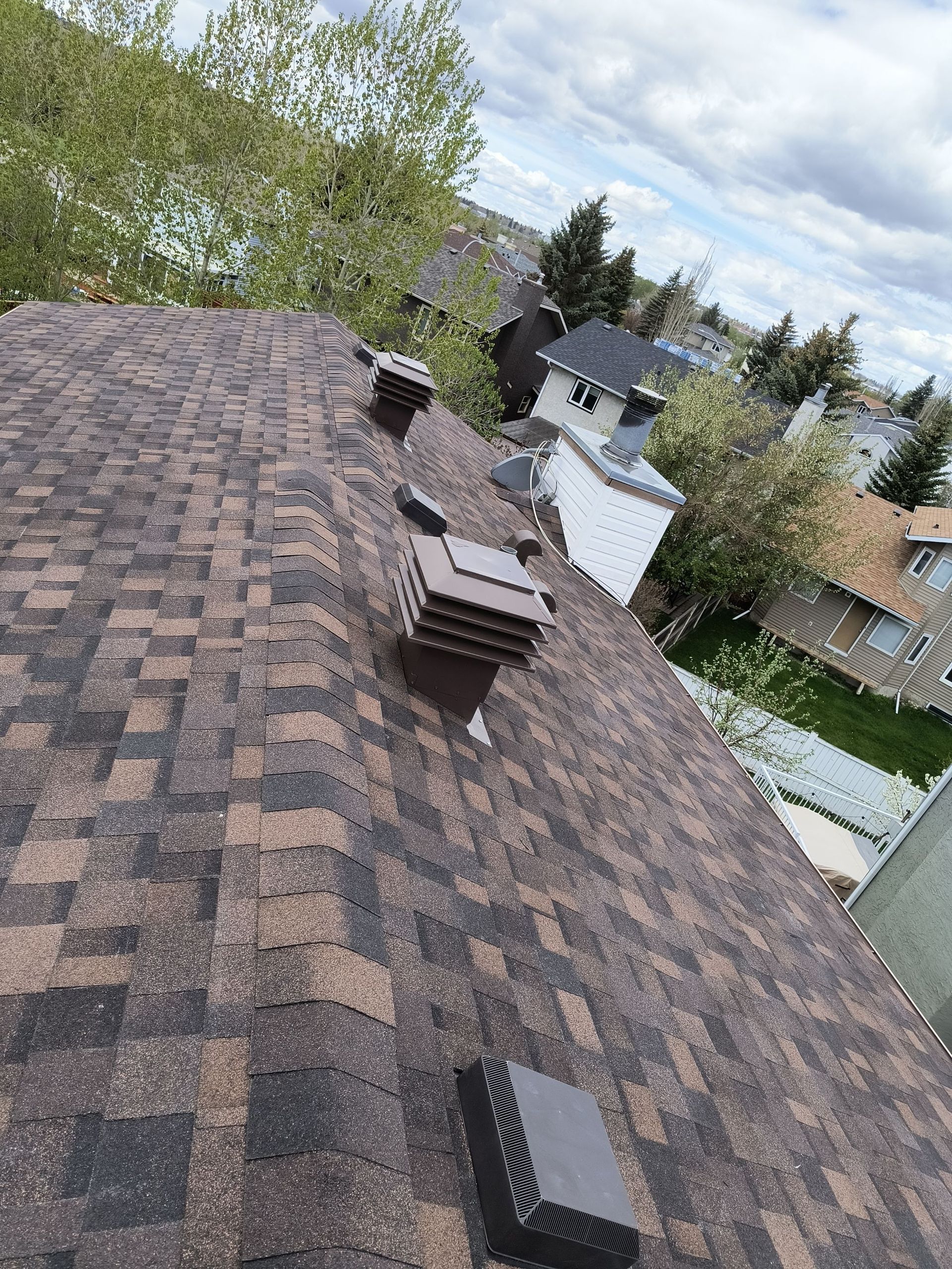 shingles on roof