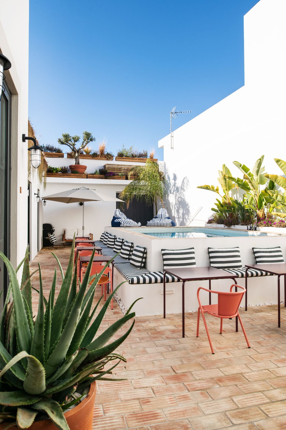 a patio with tables and chairs and a potted plant .
