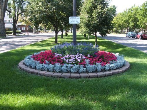 A flower bed in a green area