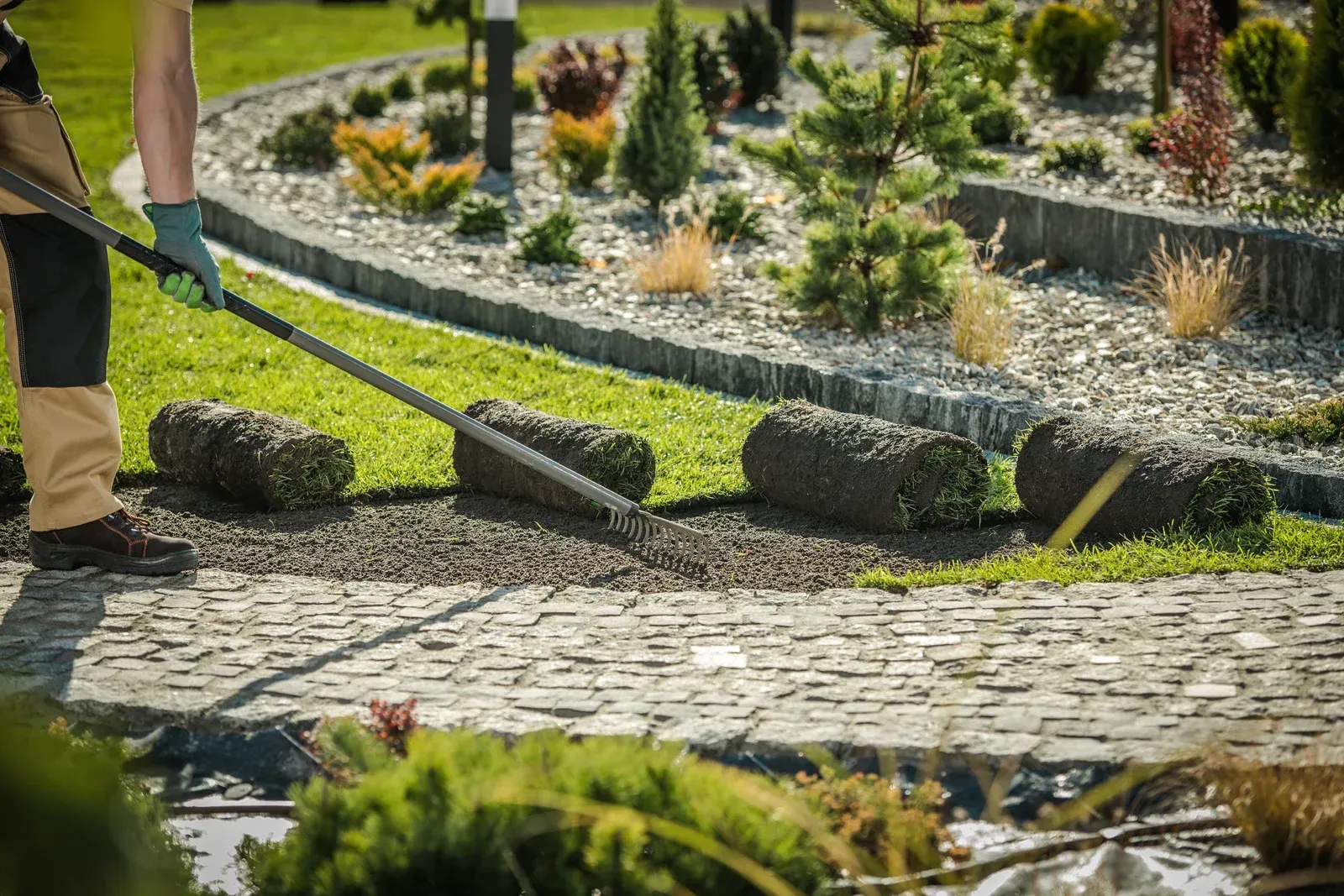 Gardener raking a landscaped garden path beside trimmed shrubs and stone edging