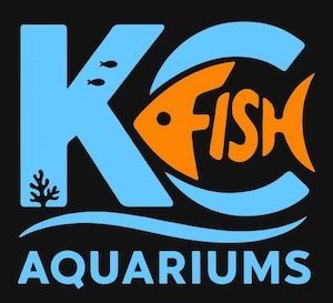 best saltwater fish tank aquarium maintenance near me