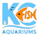 saltwater fish tank aquarium maintenance