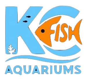 saltwater fish tank aquarium maintenance