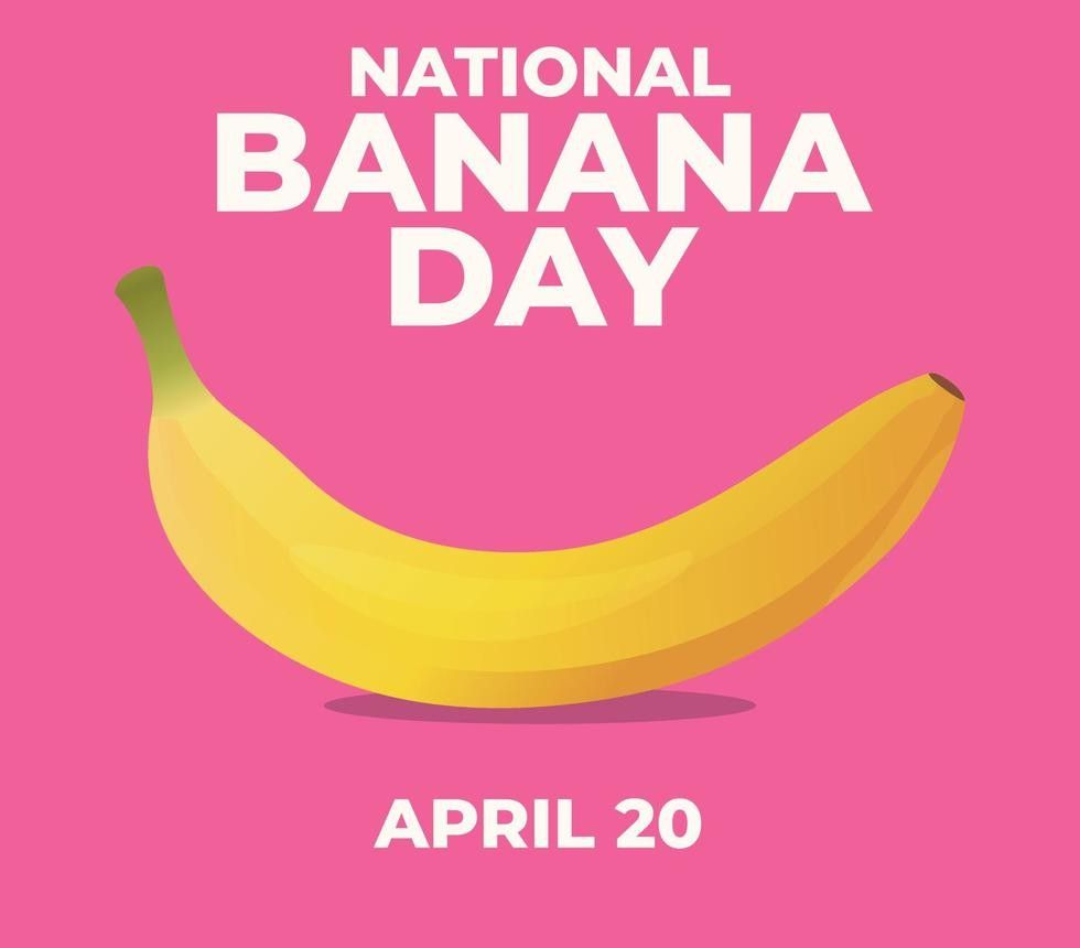 Cocktails lined up on a bar for National Cocktail Day on March 24th; colorful drinks with garnishes.