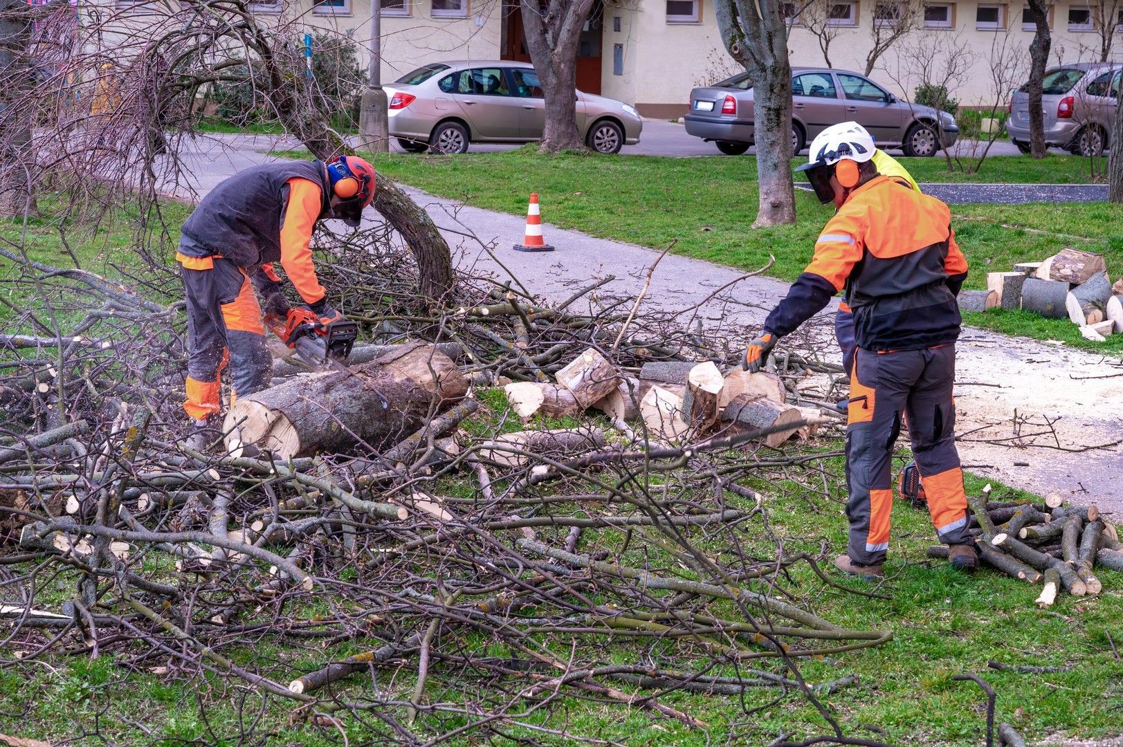 Due operai con indumenti protettivi arancioni e neri potano rami e tagliano legna con una motosega in un'area erbosa vicino a un parcheggio.