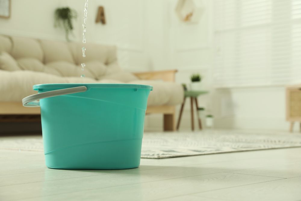 Blue Bucket on Floor Catches Water Leaking From Ceiling, in Living Room — Oxplumb in Coolum Beach, QLD