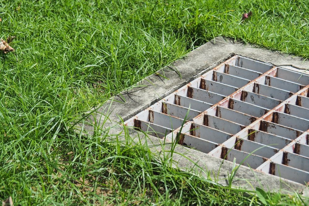 Metal Drainage Grate in a Concrete Frame, Surrounded by Green Grass — Oxplumb in Coolum Beach, QLD