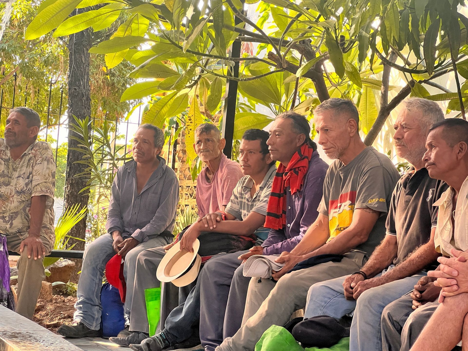 A group of men are sitting on a bench under a tree.