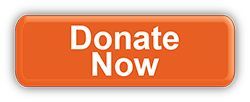 An orange button that says `` donate now '' on a white background.