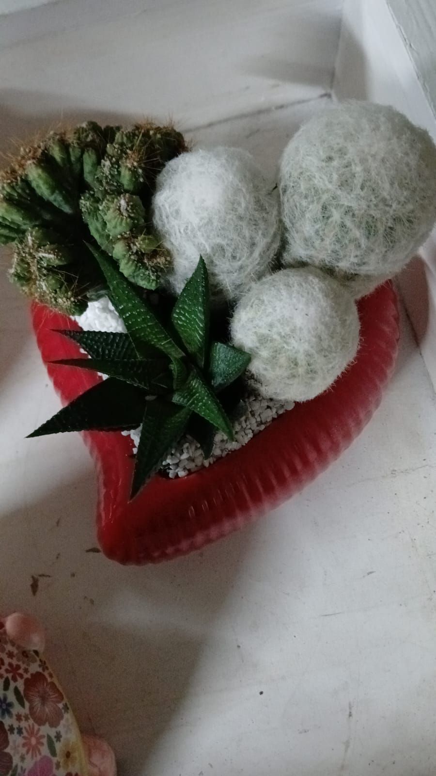 Fioriera rossa a forma di cuore con cactus e piante grasse assortiti, tra cui cactus bianchi pelosi e piante verdi.