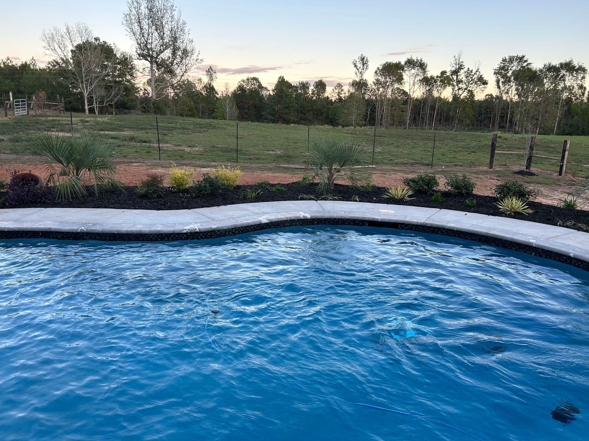 A large swimming pool is surrounded by trees and a fence.