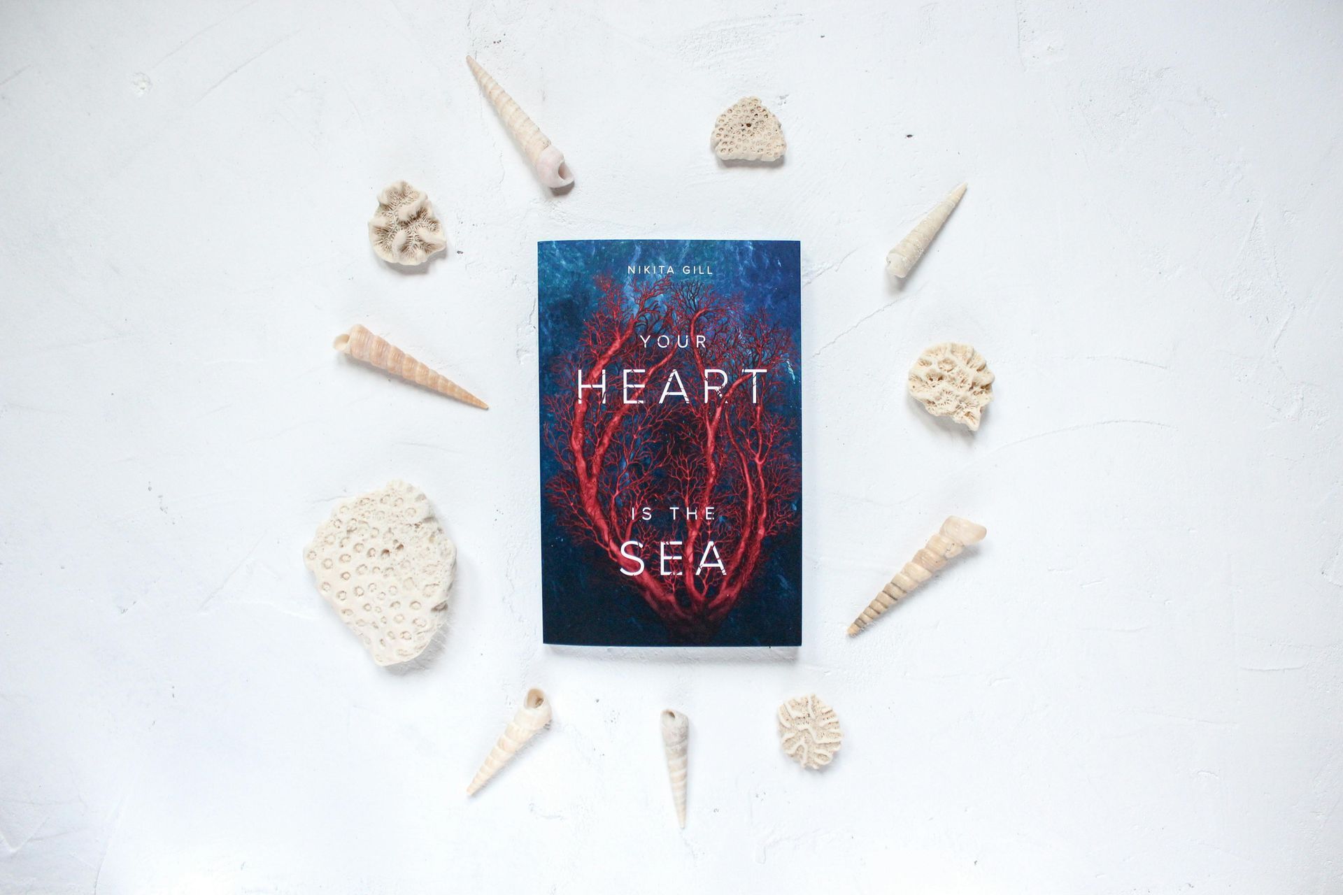A book called the heart of the sea is surrounded by seashells on a white surface.