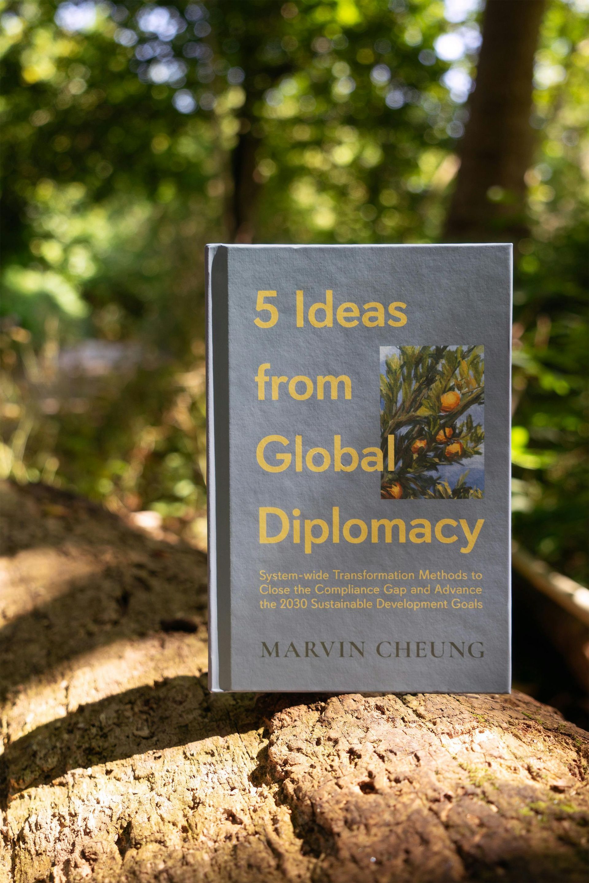 A book titled 5 ideas from global diplomacy is sitting on top of a rock.