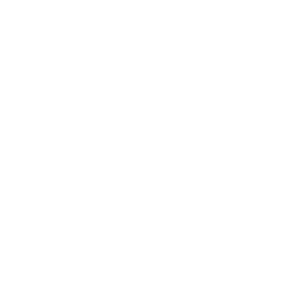 British Locksmiths Institute icon