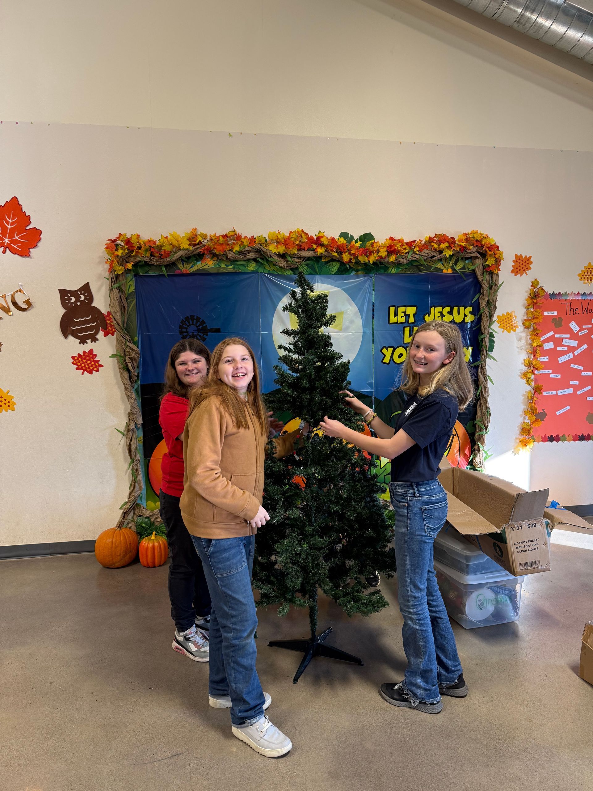A group of young women are decorating a christmas tree in a room.