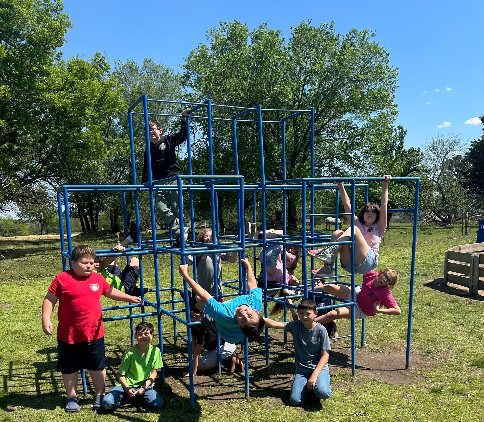 Children climbing on a blue playground jungle gym in a sunny park with trees and grass.