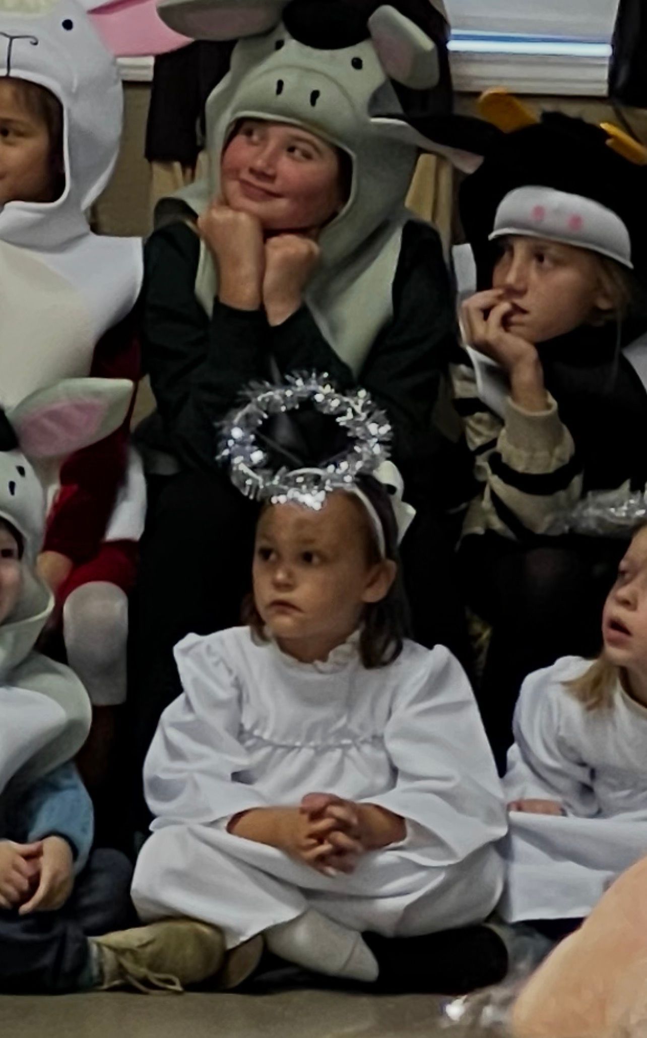 Children in costumes seated indoors: angel, cow, sheep.