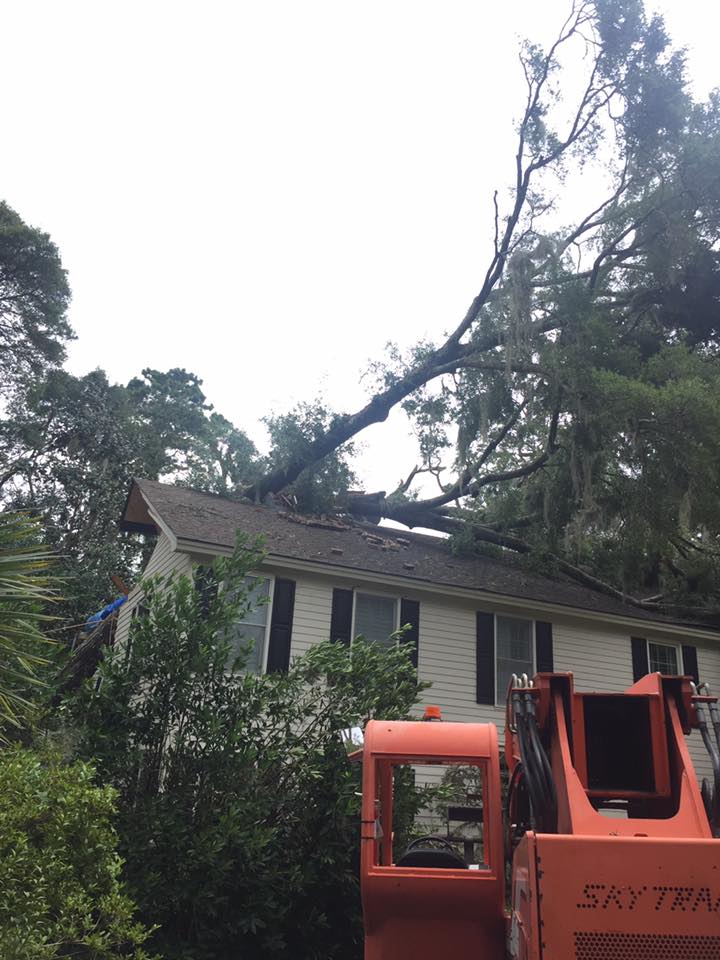 Tree Fell on the Roof — Savannah, GA — Waters Tree Service