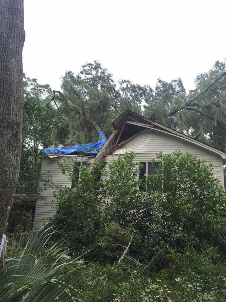 Tree Almost Destroyed a House — Savannah, GA — Waters Tree Service