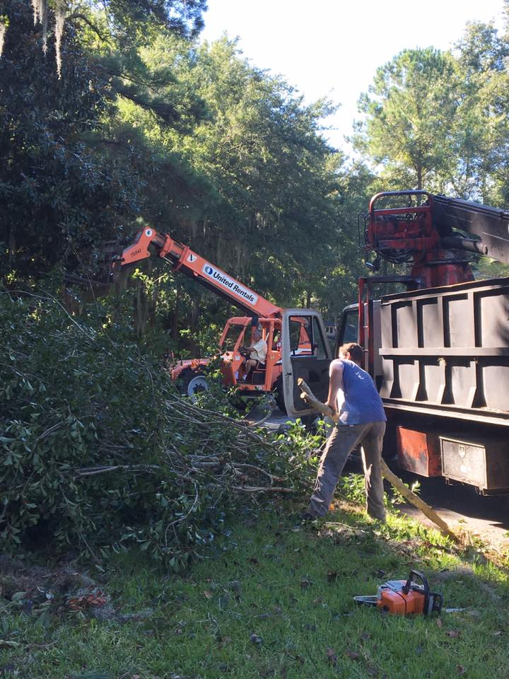 Man Gathering The Branches — Savannah, GA — Waters Tree Service