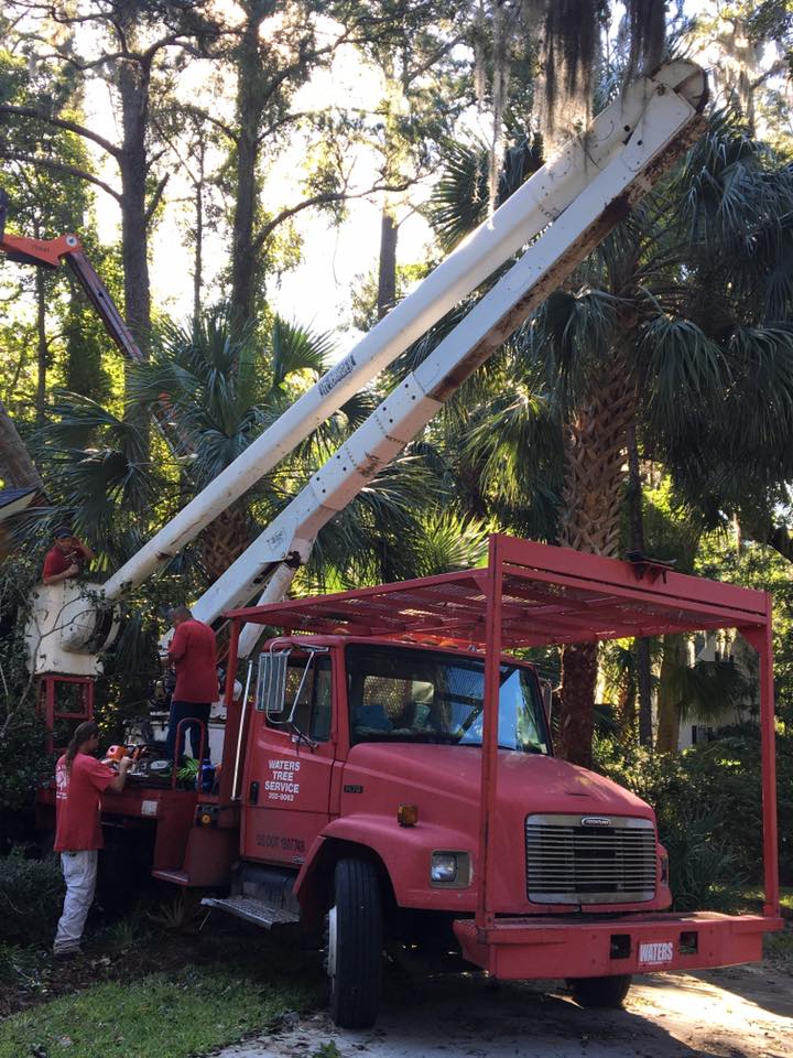 Red Tree Cutting and Removal Equipment — Savannah, GA — Waters Tree Service